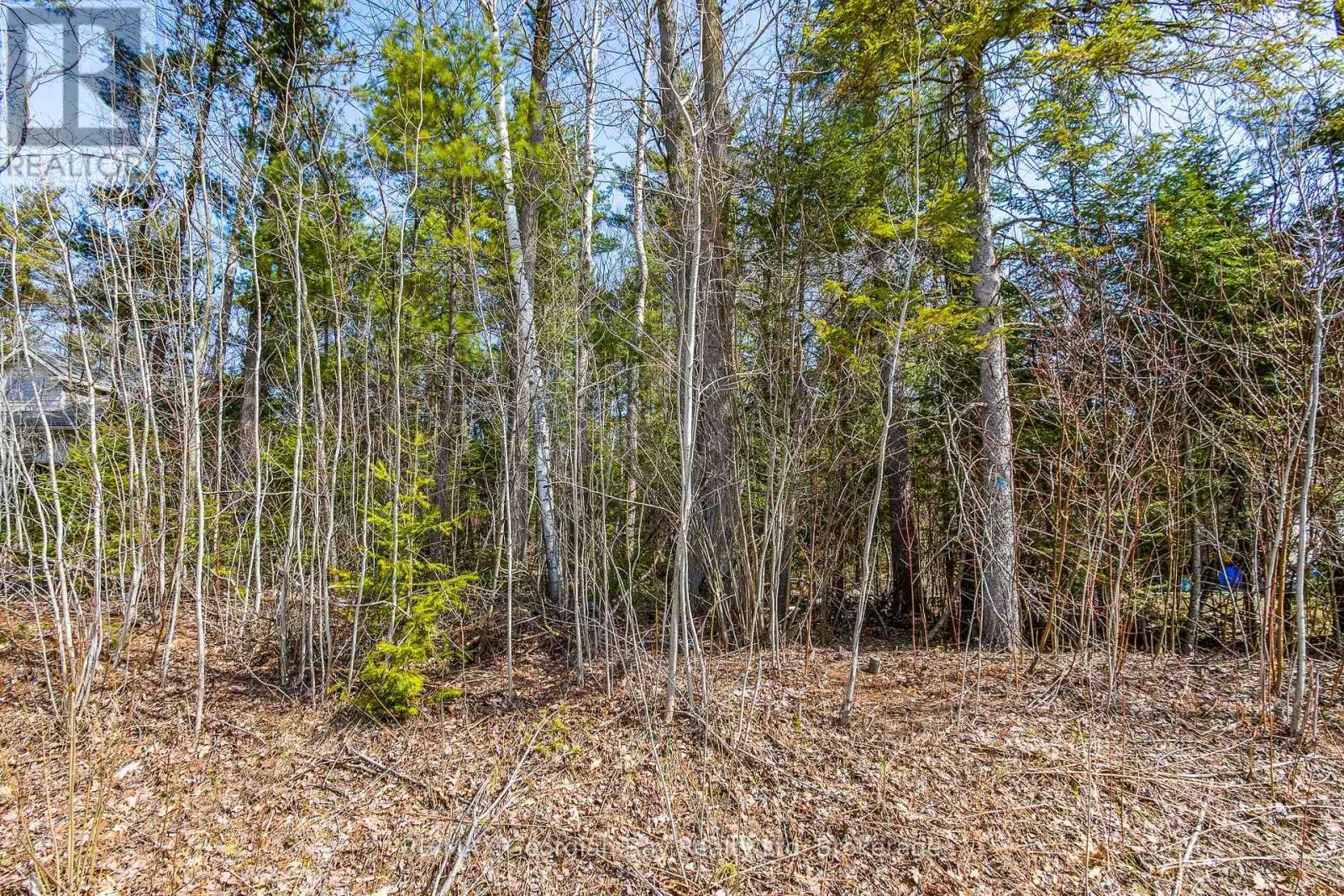Lot 102 Emilio Street, Tiny, ON