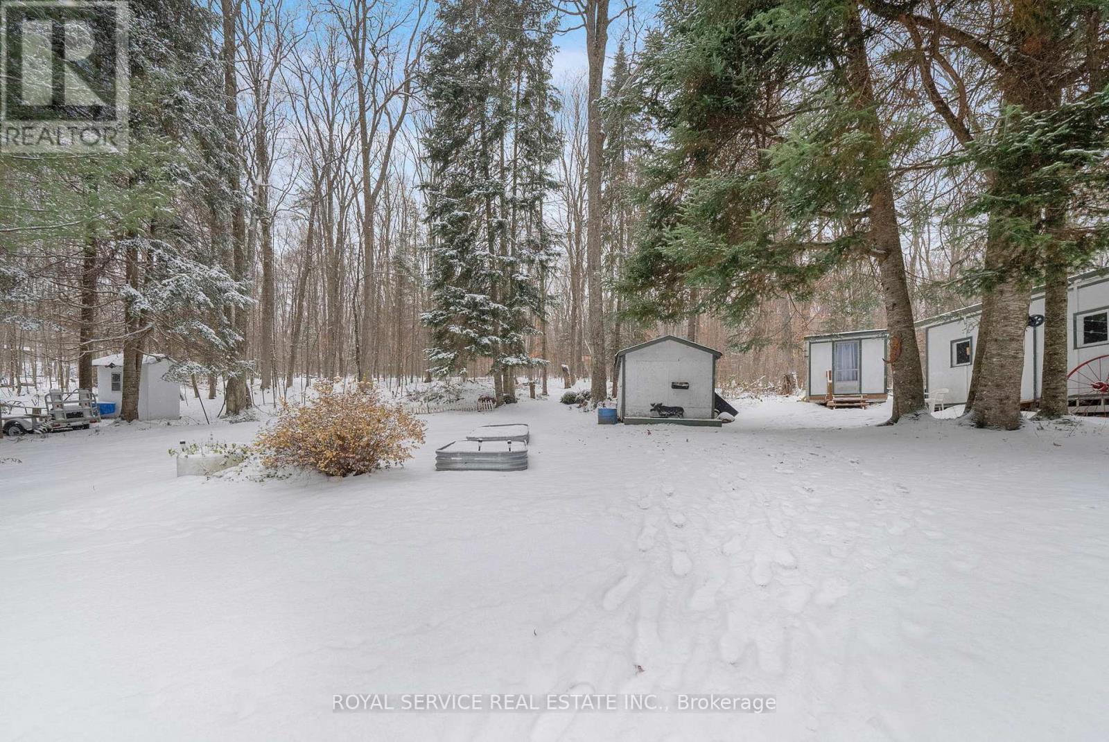 View of Yard/Garden Beds/Storage - 1039 Grace River Road, Highlands East (Monmouth), ON - Outdoor