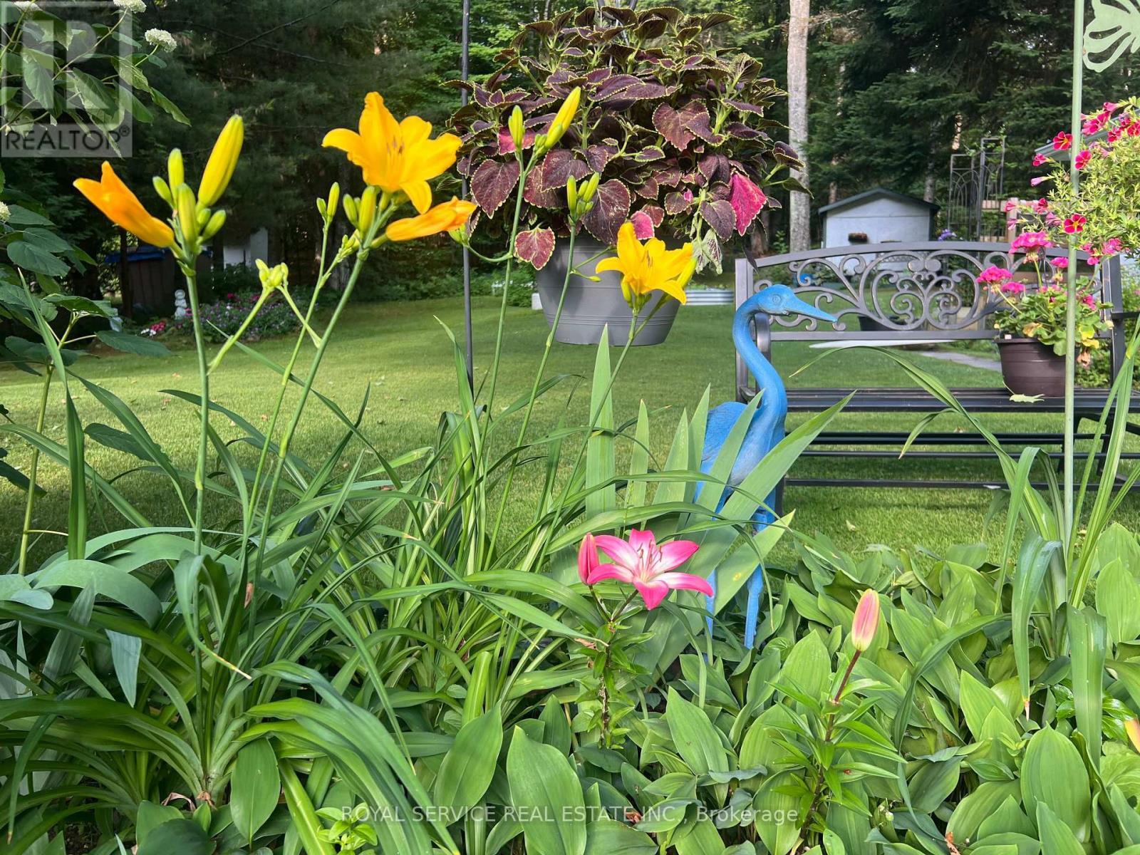 Sellers Summer Photo - 1039 Grace River Road, Highlands East (Monmouth), ON - Outdoor