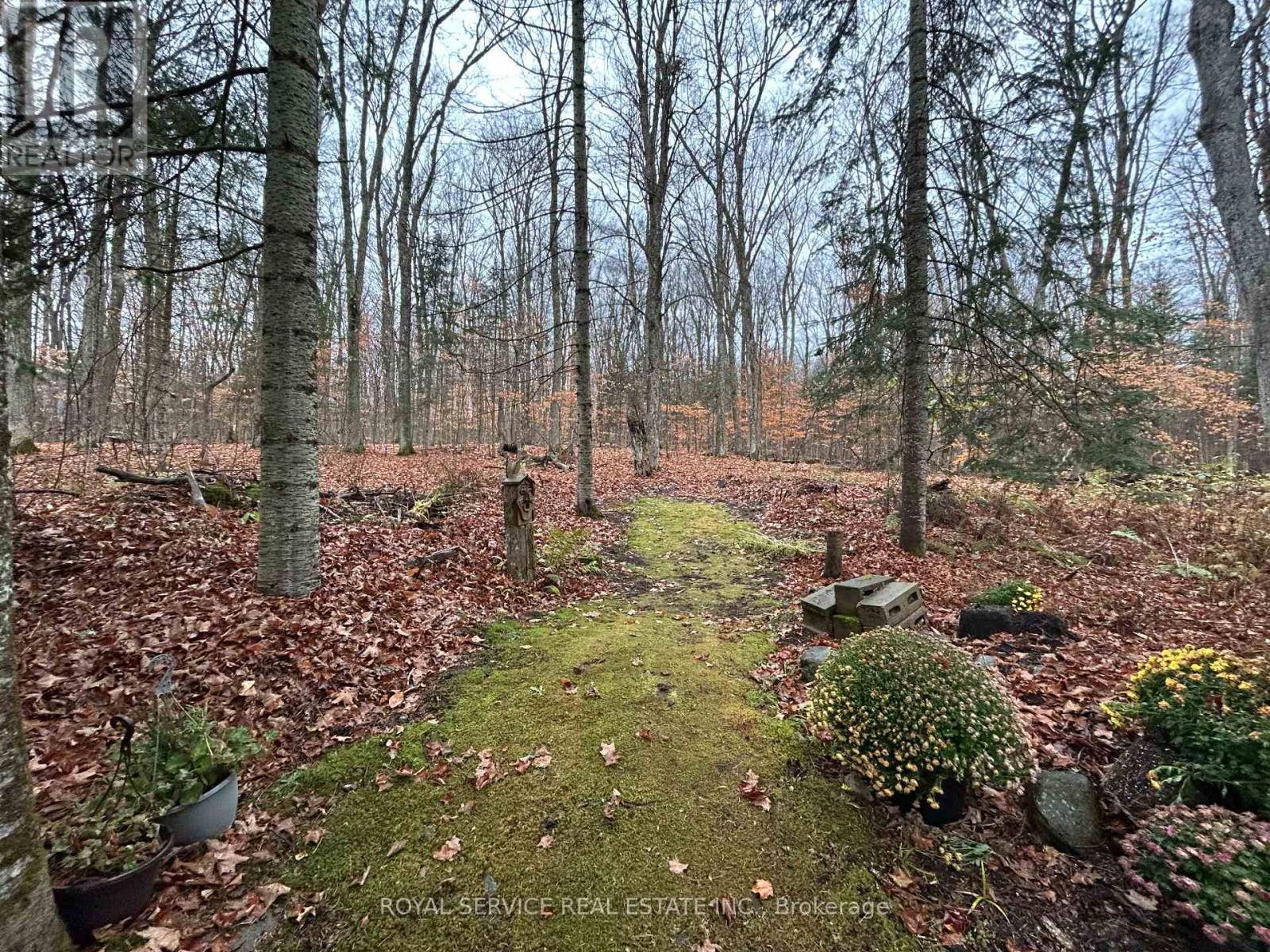 View of the Back of the Lot in Fall - 1039 Grace River Road, Highlands East (Monmouth), ON - Outdoor With View