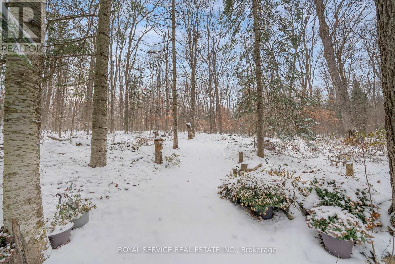 View of the Back of the Lot in Winter - 1039 Grace River Road, Highlands East (Monmouth), ON - Outdoor With View