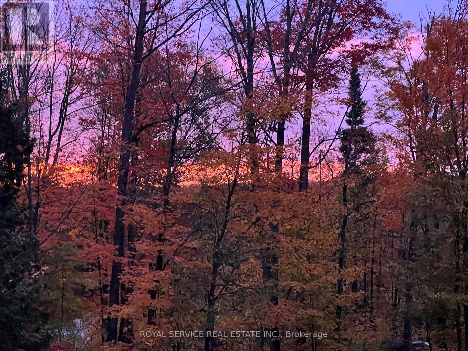 Sellers Photo - Gorgeous! - 1039 Grace River Road, Highlands East (Monmouth), ON - Outdoor With View