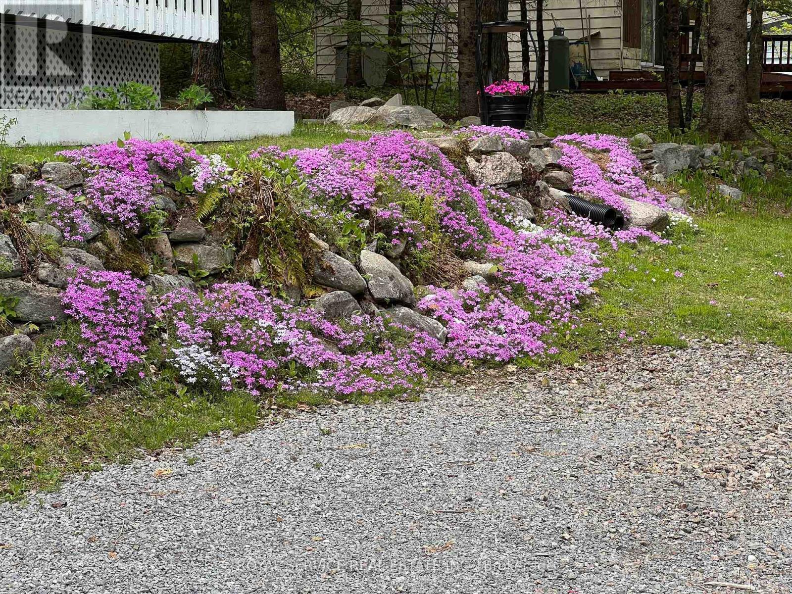 Sellers Summer Photo - 1039 Grace River Road, Highlands East (Monmouth), ON - Outdoor