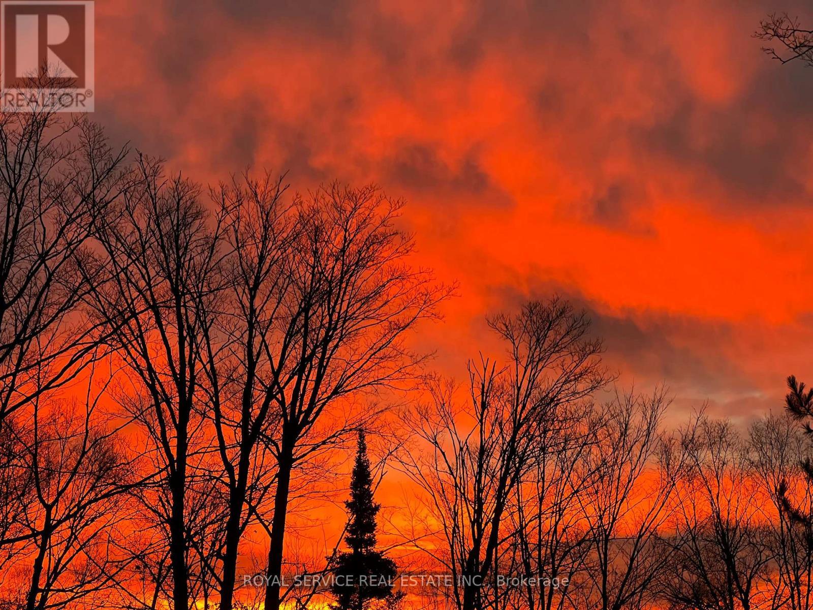 Sellers Gorgeous Photo from the Deck - 1039 Grace River Road, Highlands East (Monmouth), ON - Outdoor
