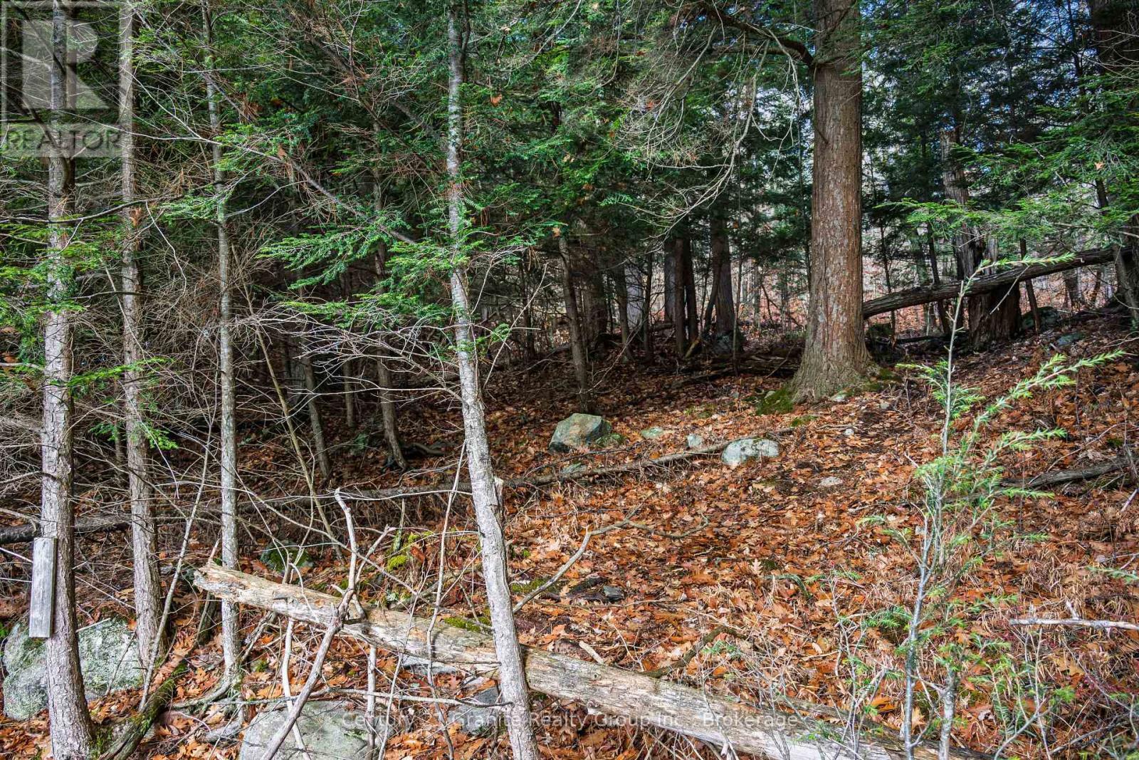 0 Tedious Lake Wao, Dysart Et Al (Guilford), ON