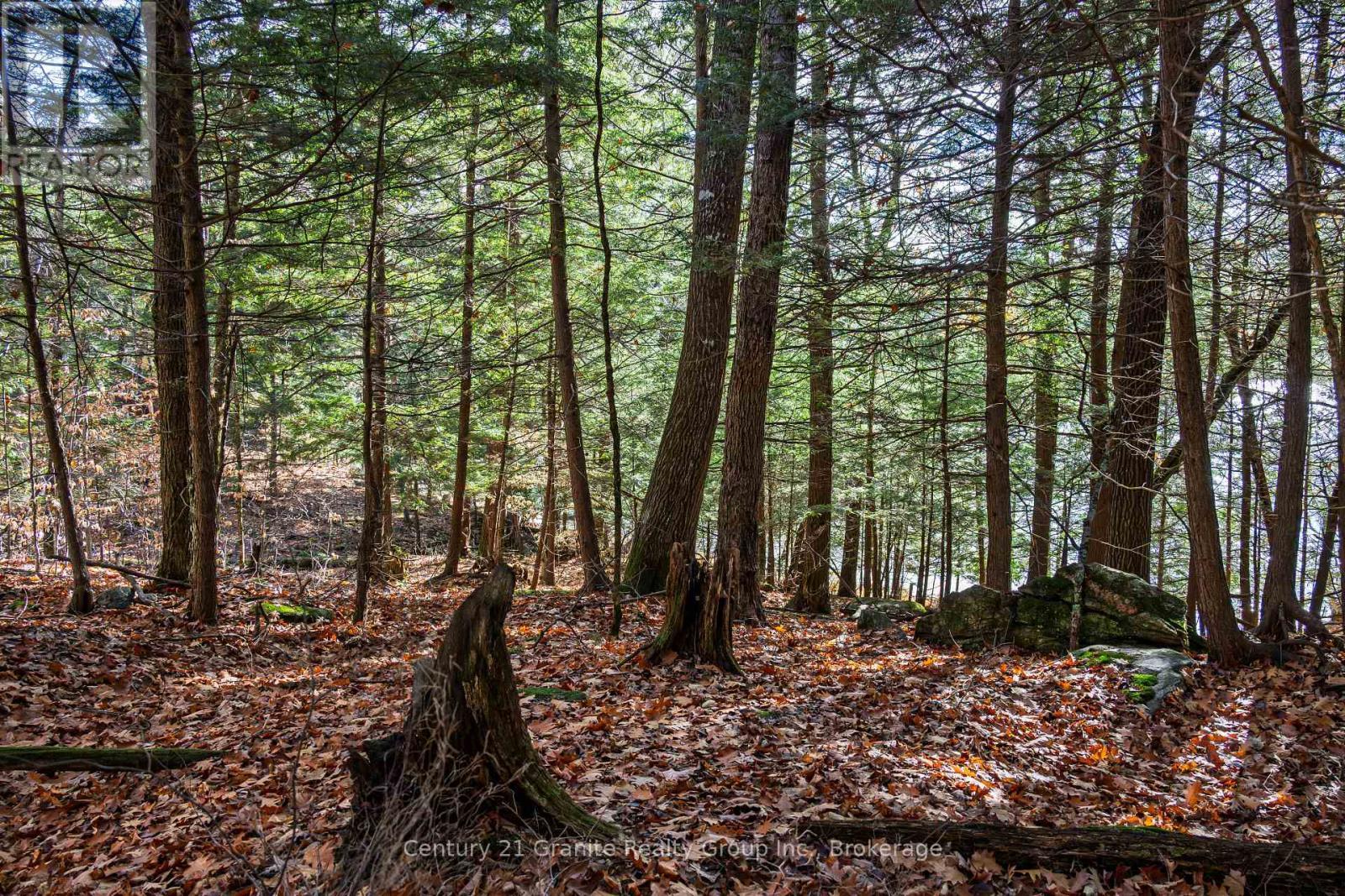 0 Tedious Lake Wao, Dysart Et Al (Guilford), ON