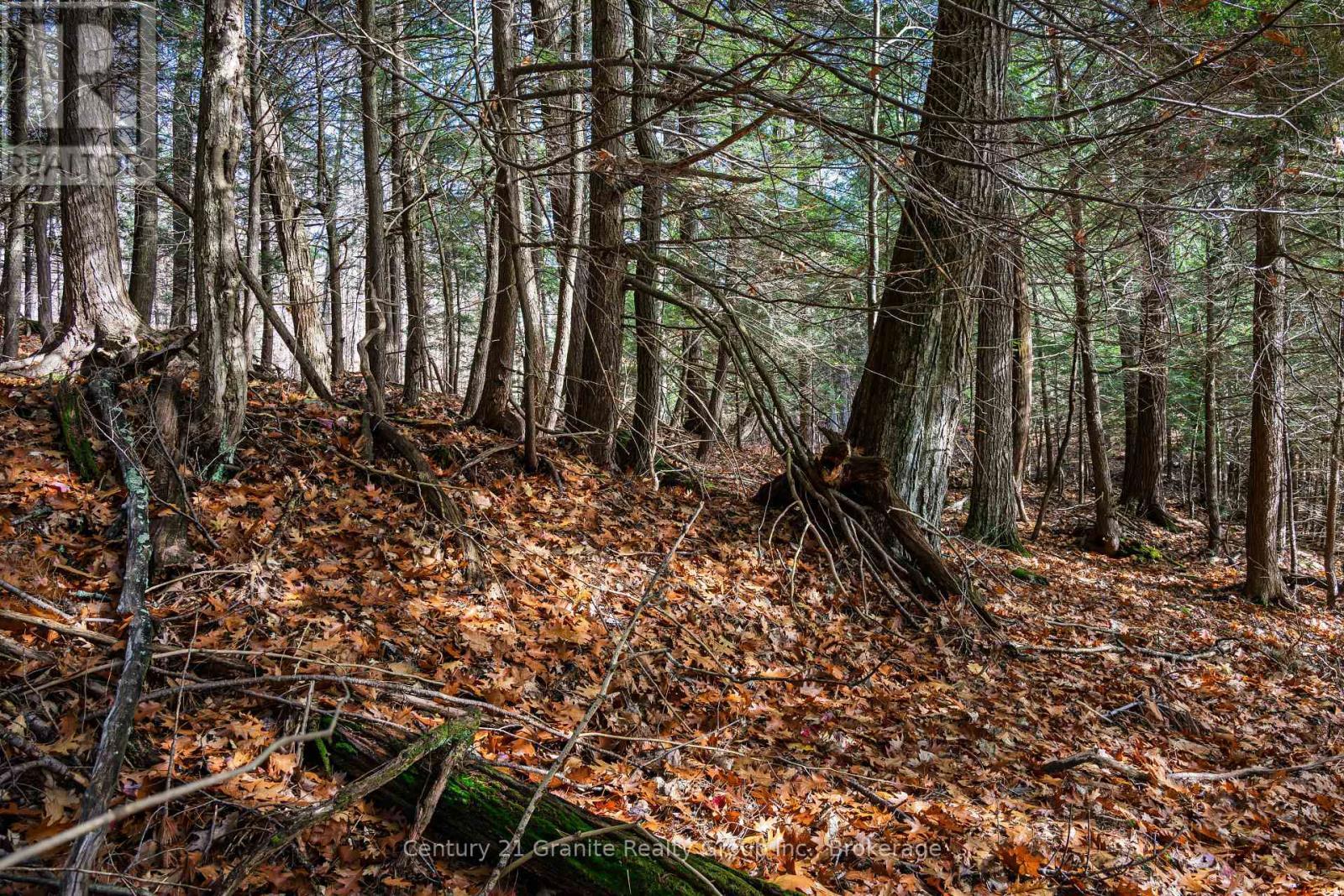 0 Tedious Lake Wao, Dysart Et Al (Guilford), ON