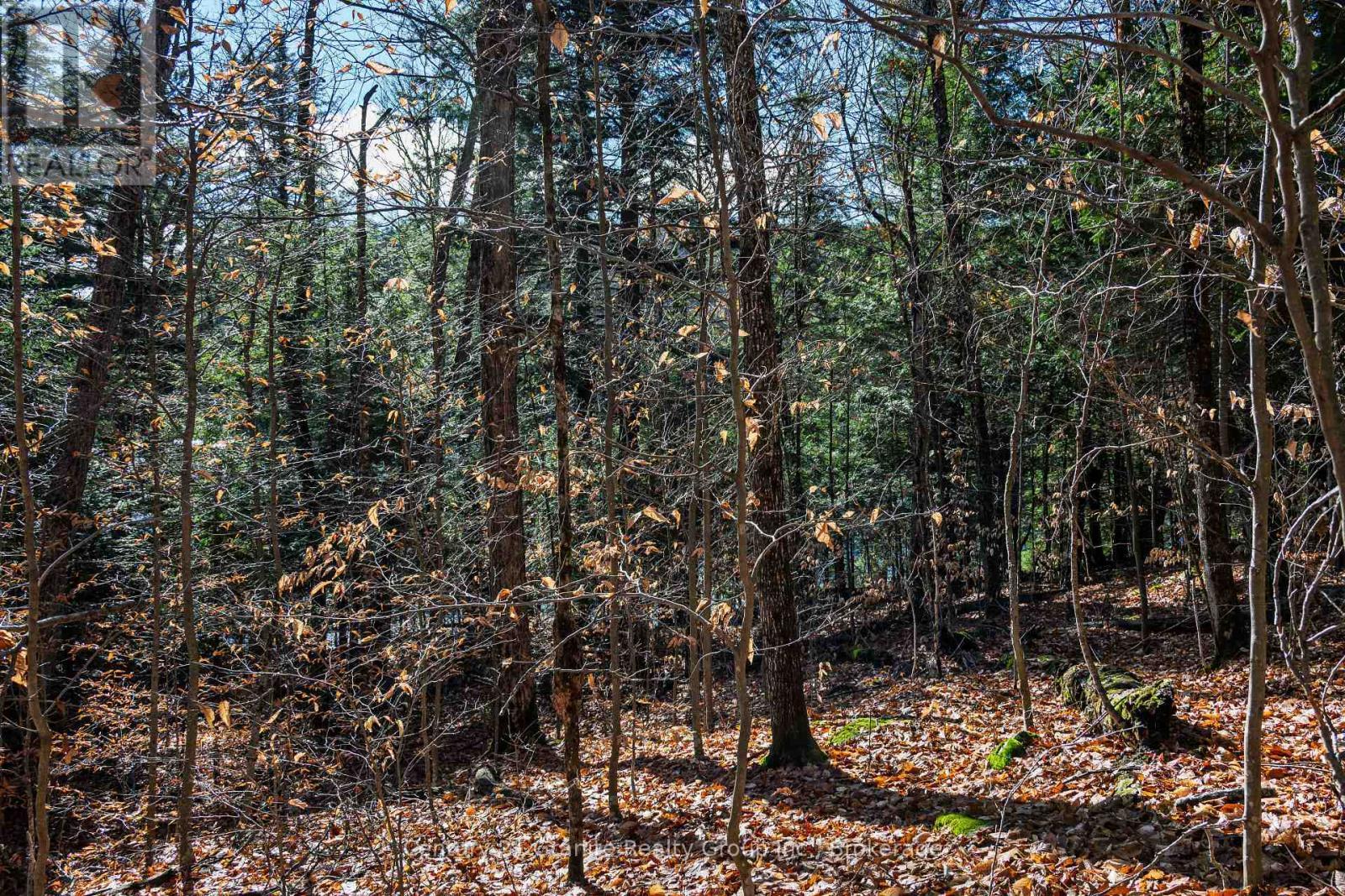 0 Tedious Lake Wao, Dysart Et Al (Guilford), ON