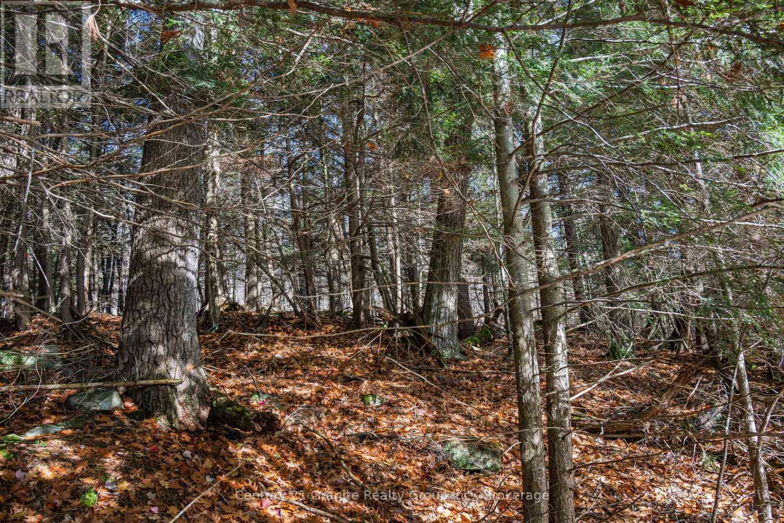 0 Tedious Lake Wao, Dysart Et Al (Guilford), ON