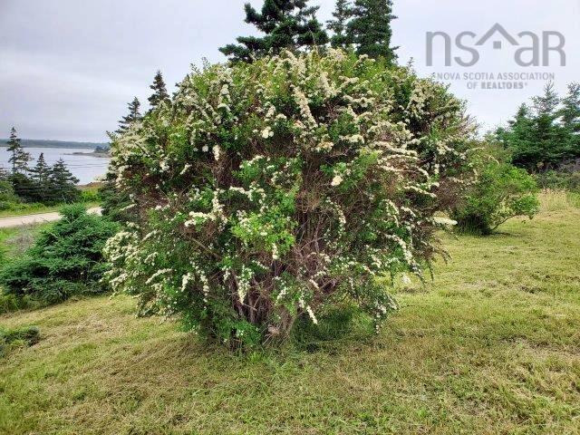 7272 Hwy #3, Upper Woods Harbour, NS - Outdoor