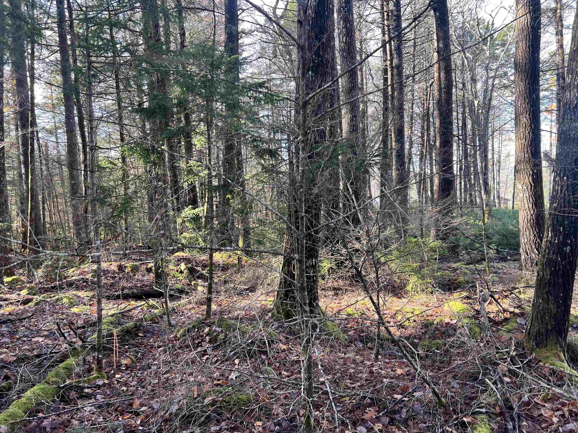2 Oak Hill Road, Lower Ohio, NS