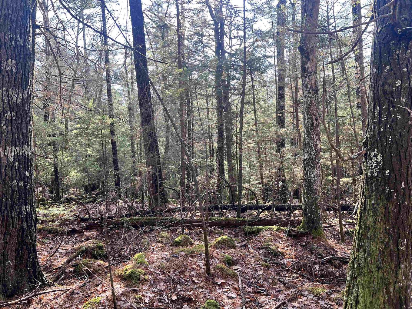 2 Oak Hill Road, Lower Ohio, NS