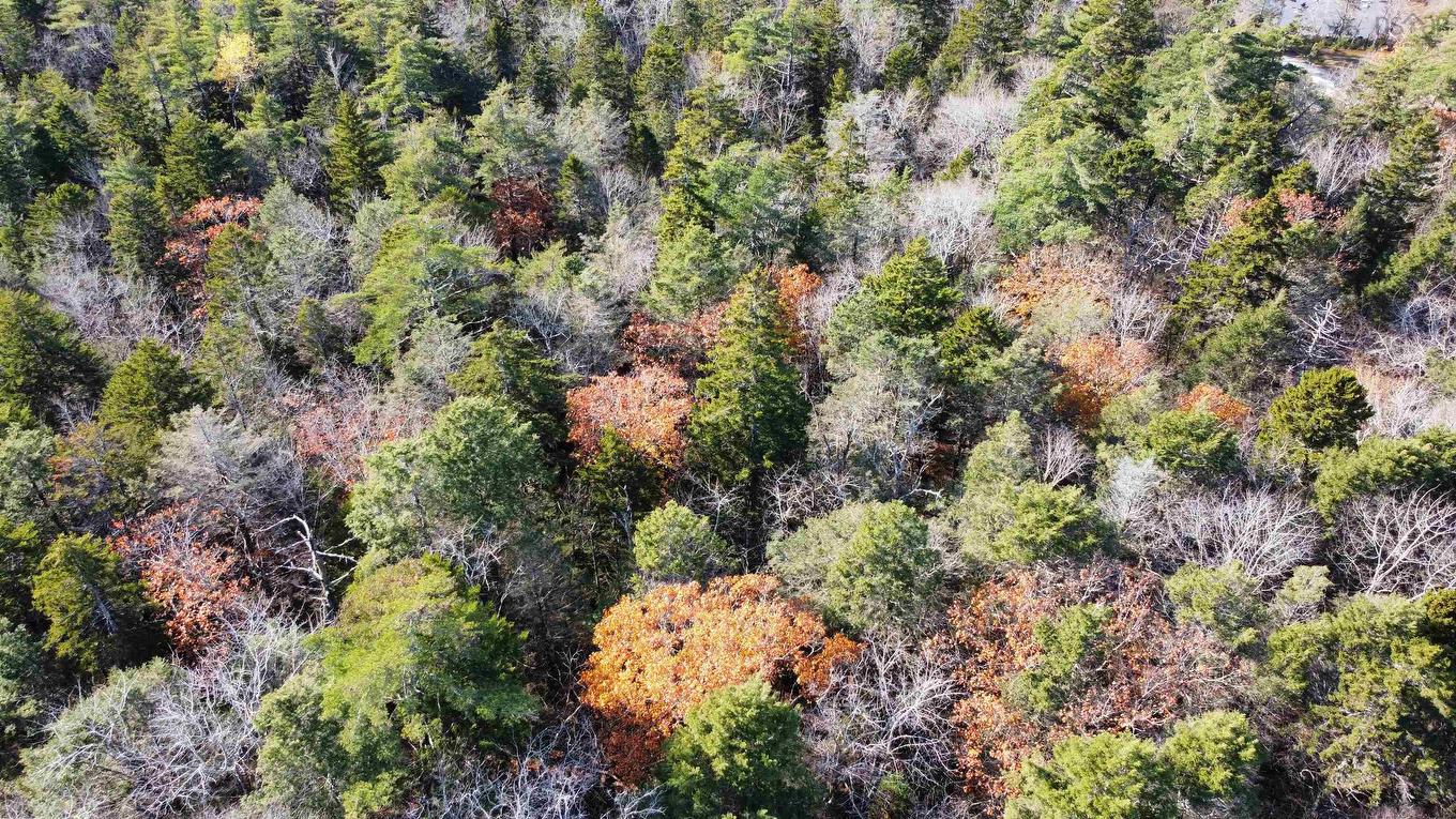 2 Oak Hill Road, Lower Ohio, NS