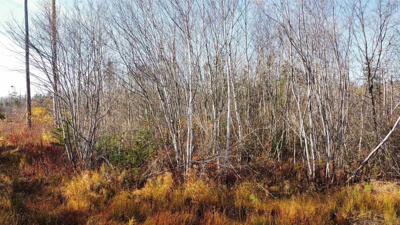 Lot No 3 Highway, Lydgate, NS
