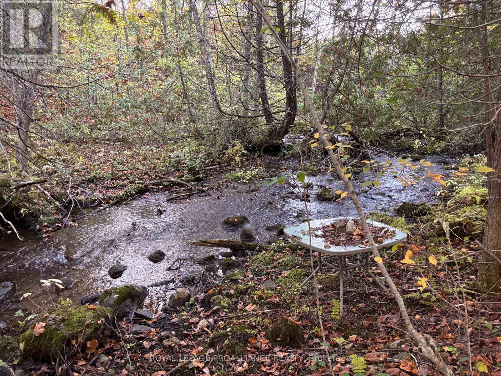 Pt Lt 29-30 Naphan Road, Tyendinaga (Tyendinaga Township), ON