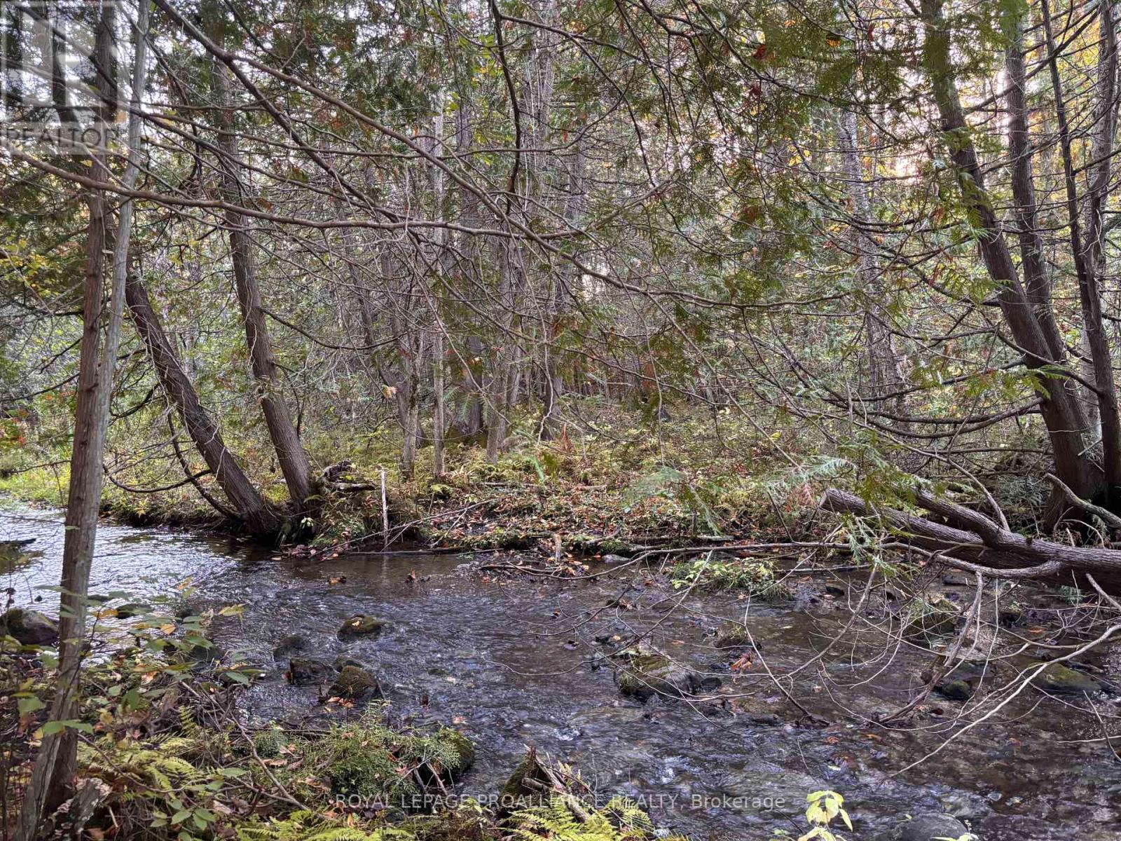 Pt Lt 29-30 Naphan Road, Tyendinaga (Tyendinaga Township), ON