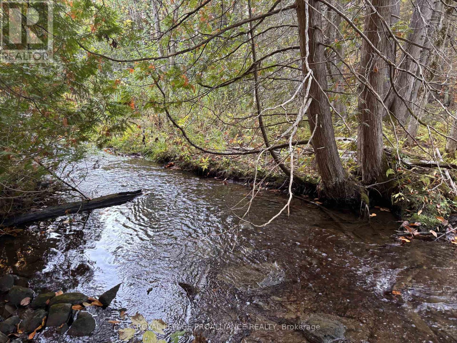 Pt Lt 29-30 Naphan Road, Tyendinaga (Tyendinaga Township), ON