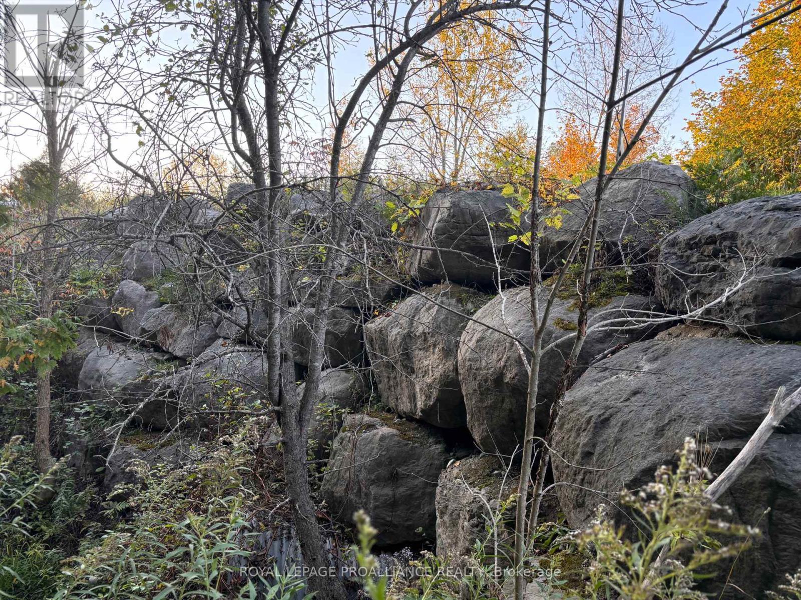 Pt Lt 29-30 Naphan Road, Tyendinaga (Tyendinaga Township), ON