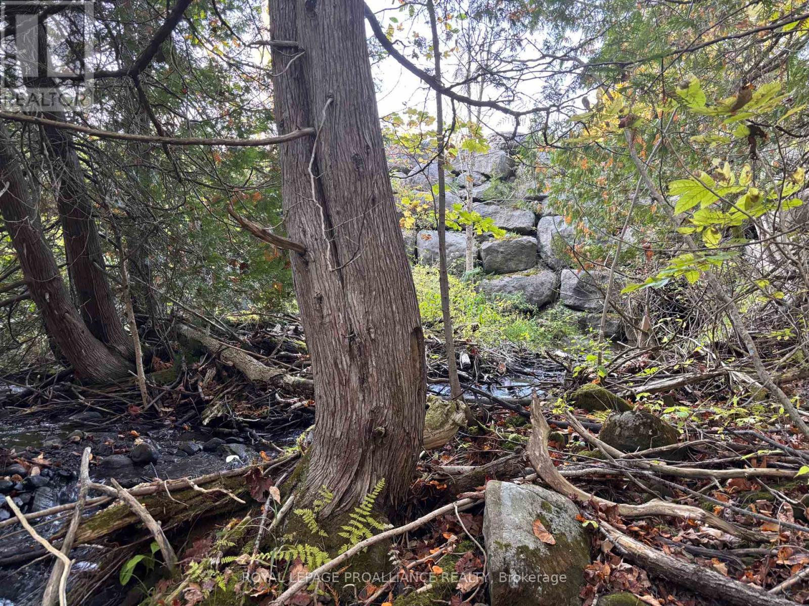 Pt Lt 29-30 Naphan Road, Tyendinaga (Tyendinaga Township), ON