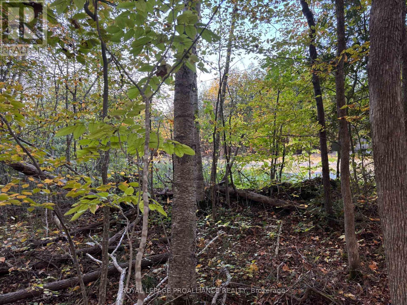 Pt Lt 29-30 Naphan Road, Tyendinaga (Tyendinaga Township), ON