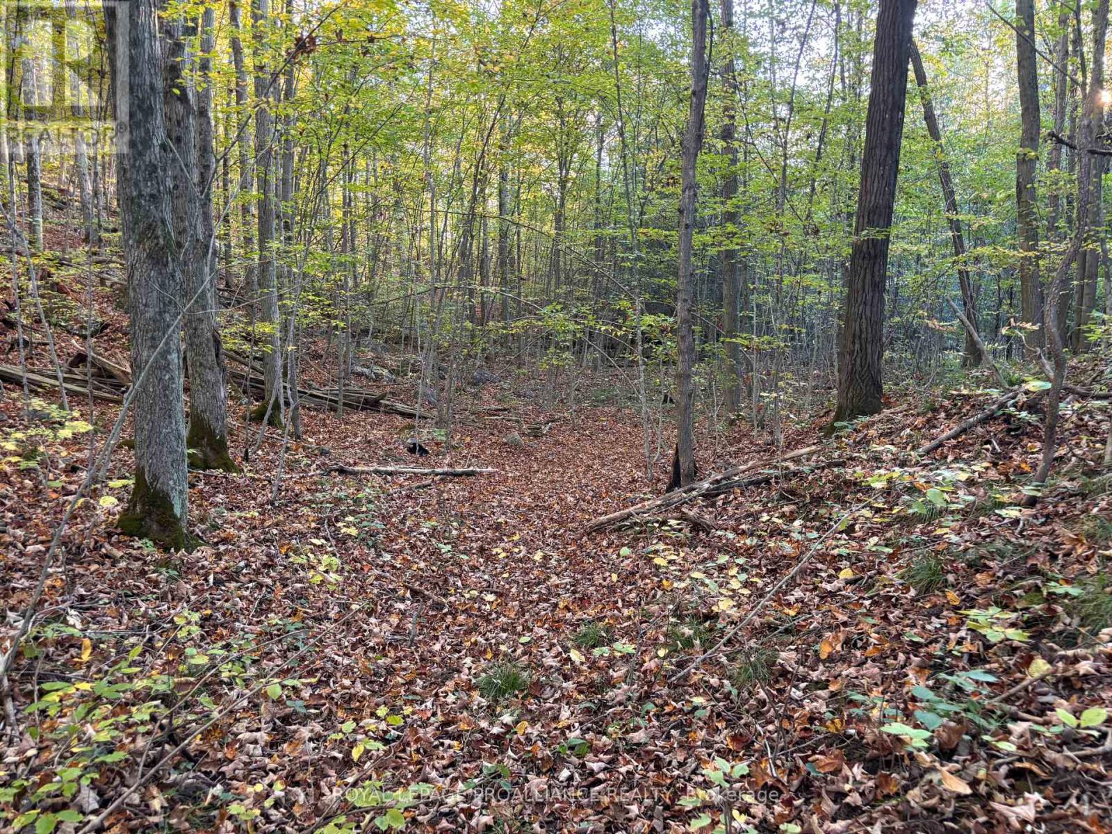 Pt Lt 29-30 Naphan Road, Tyendinaga (Tyendinaga Township), ON