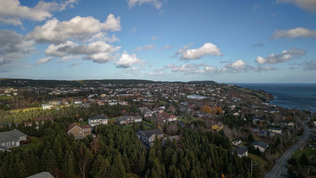71 Evenings Path, Torbay, NL