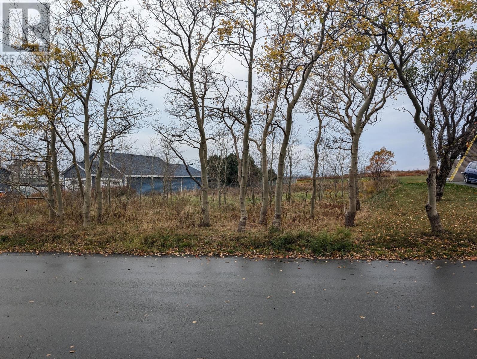 30 Baird'S Lane, Conception Bay South, NL