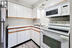 Spacious European-style kitchen with ceiling fan, double sink, ample cabinetry, fridge, stove, and microwave included -