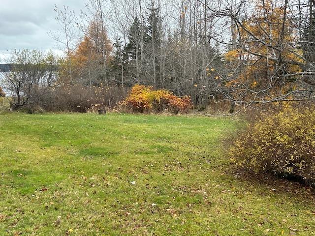 8903 Pepperell Street, St. Peter'S, NS