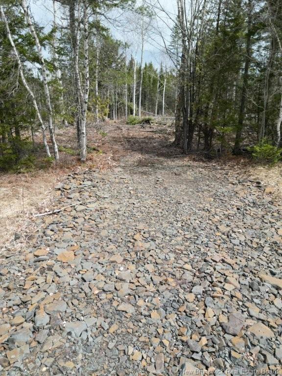 Lot 2022-2 Rte Hwy 105, Mill Cove, NB