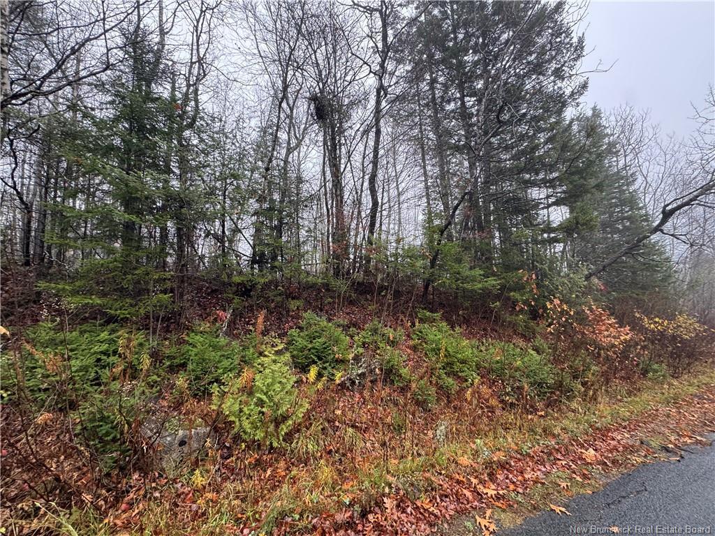 25-01 St. David Ridge Rd, Oak Bay, NB