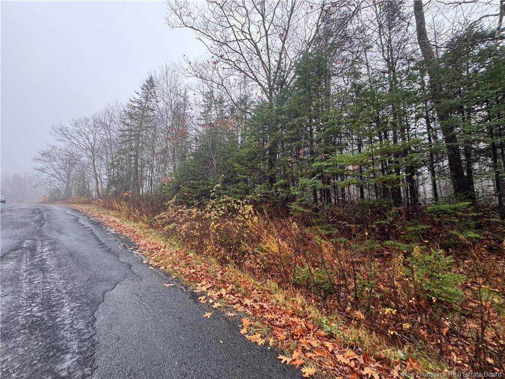 25-01 St. David Ridge Rd, Oak Bay, NB