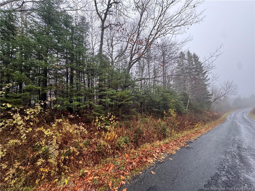 25-01 St. David Ridge Rd, Oak Bay, NB