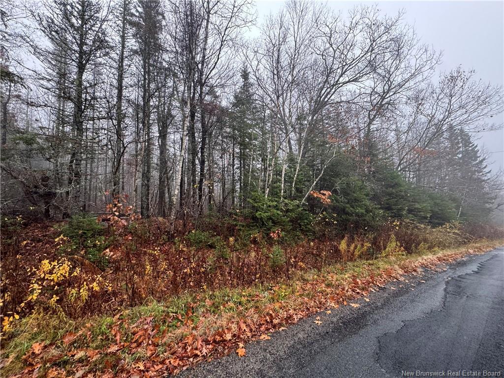 25-01 St. David Ridge Rd, Oak Bay, NB