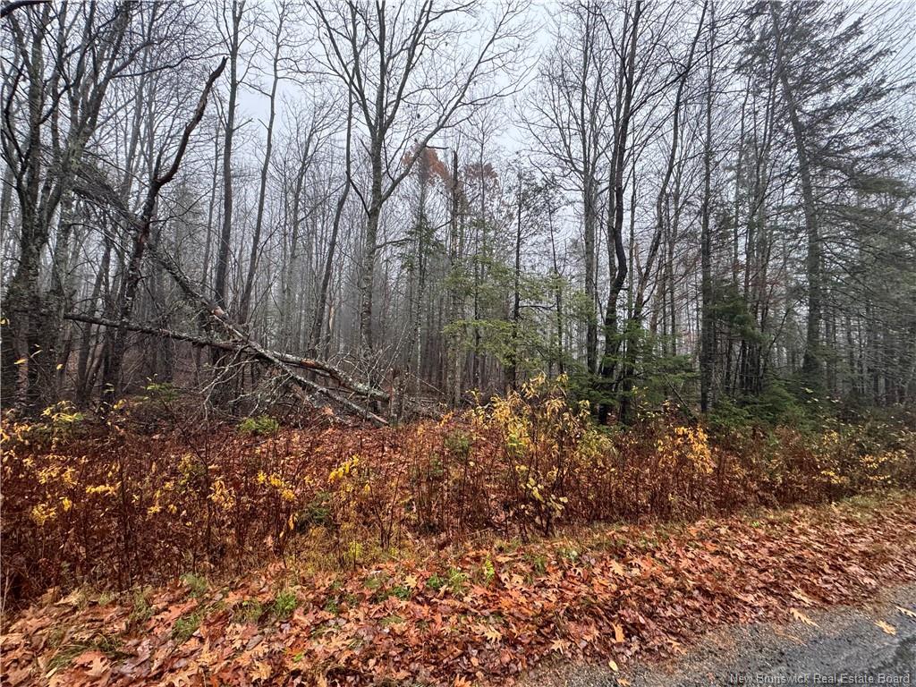 25-01 St. David Ridge Rd, Oak Bay, NB