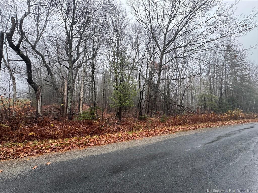 25-01 St. David Ridge Rd, Oak Bay, NB