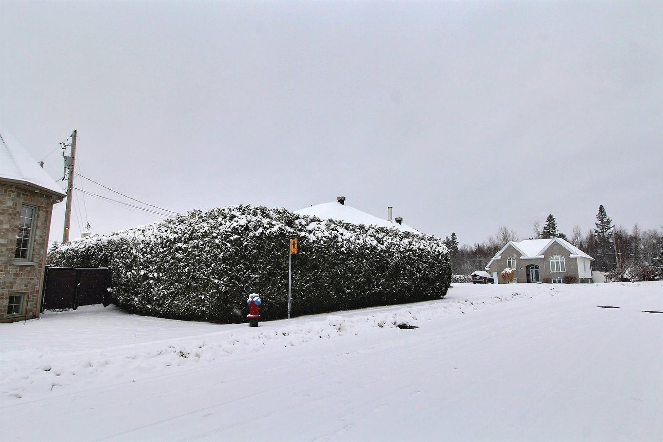 Back facade - 3569 7E Rue, Val-D'Or, QC - Outdoor