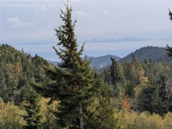 Lot 24 Eagle Dr Shawnigan Lake, BC V8H 2J1