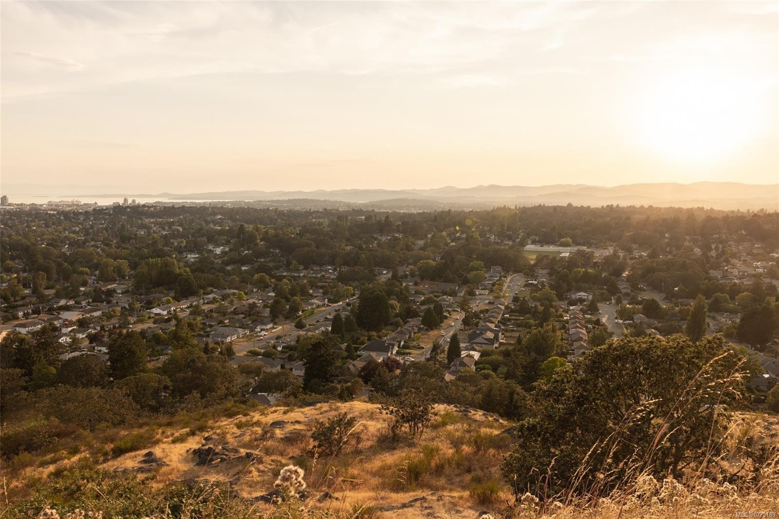 102-3226 Shelbourne St, Saanich, BC - Outdoor With View