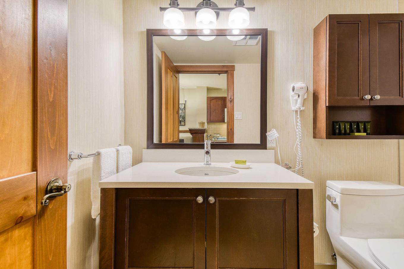 Salle de bains - 221-151 Ch. Du Curé-Deslauriers, Mont-Tremblant, QC - Indoor Photo Showing Bathroom