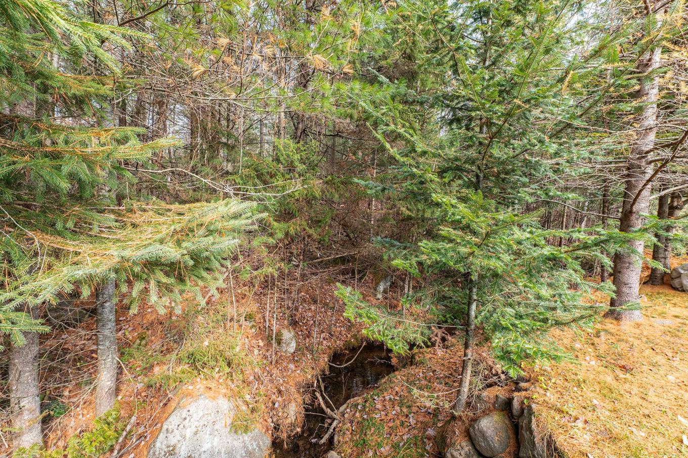 Land/Lot - 1857 Rue Lavallée, Val-David, QC - Outdoor