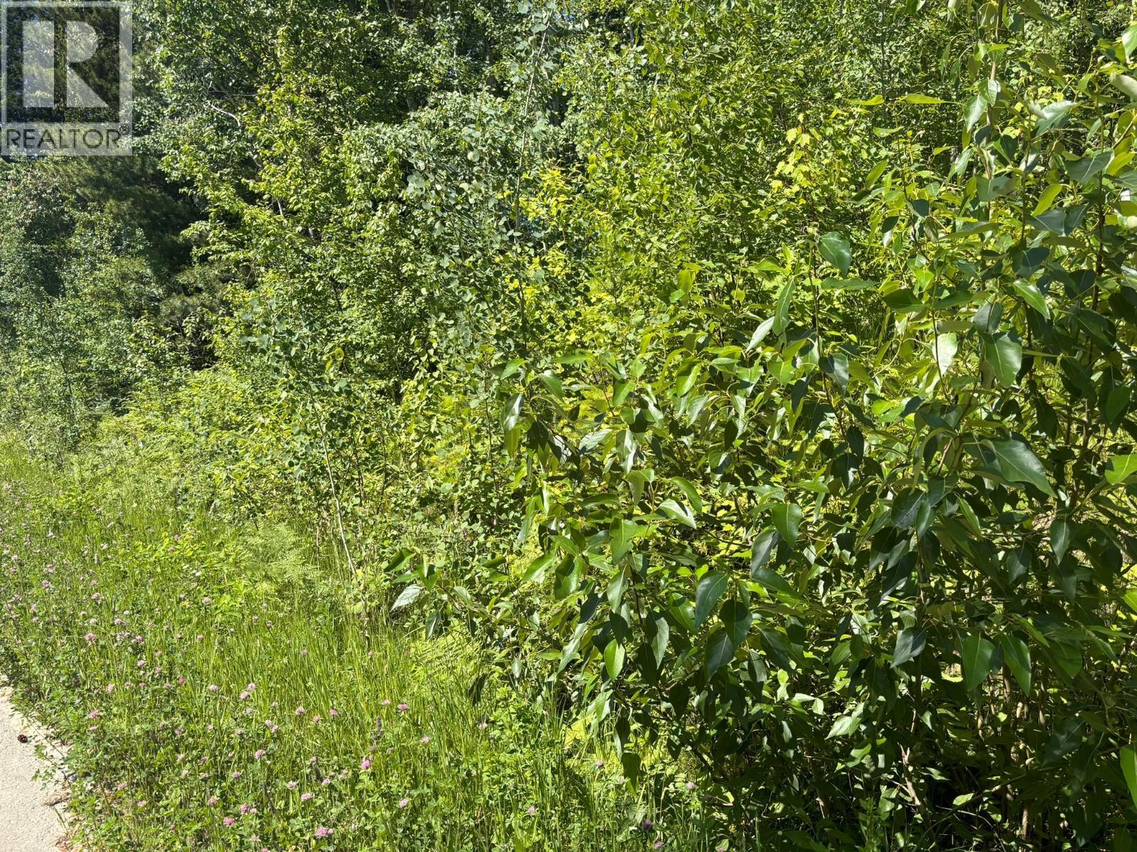 Lot 68 Squilax-Anglemont Road, St. Ives, BC