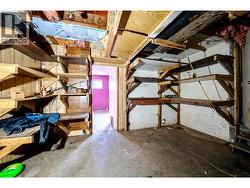 Downstairs storage area -