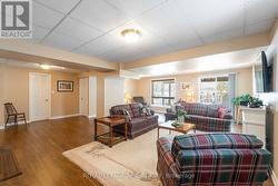 Lots of Windows - Above Grade -