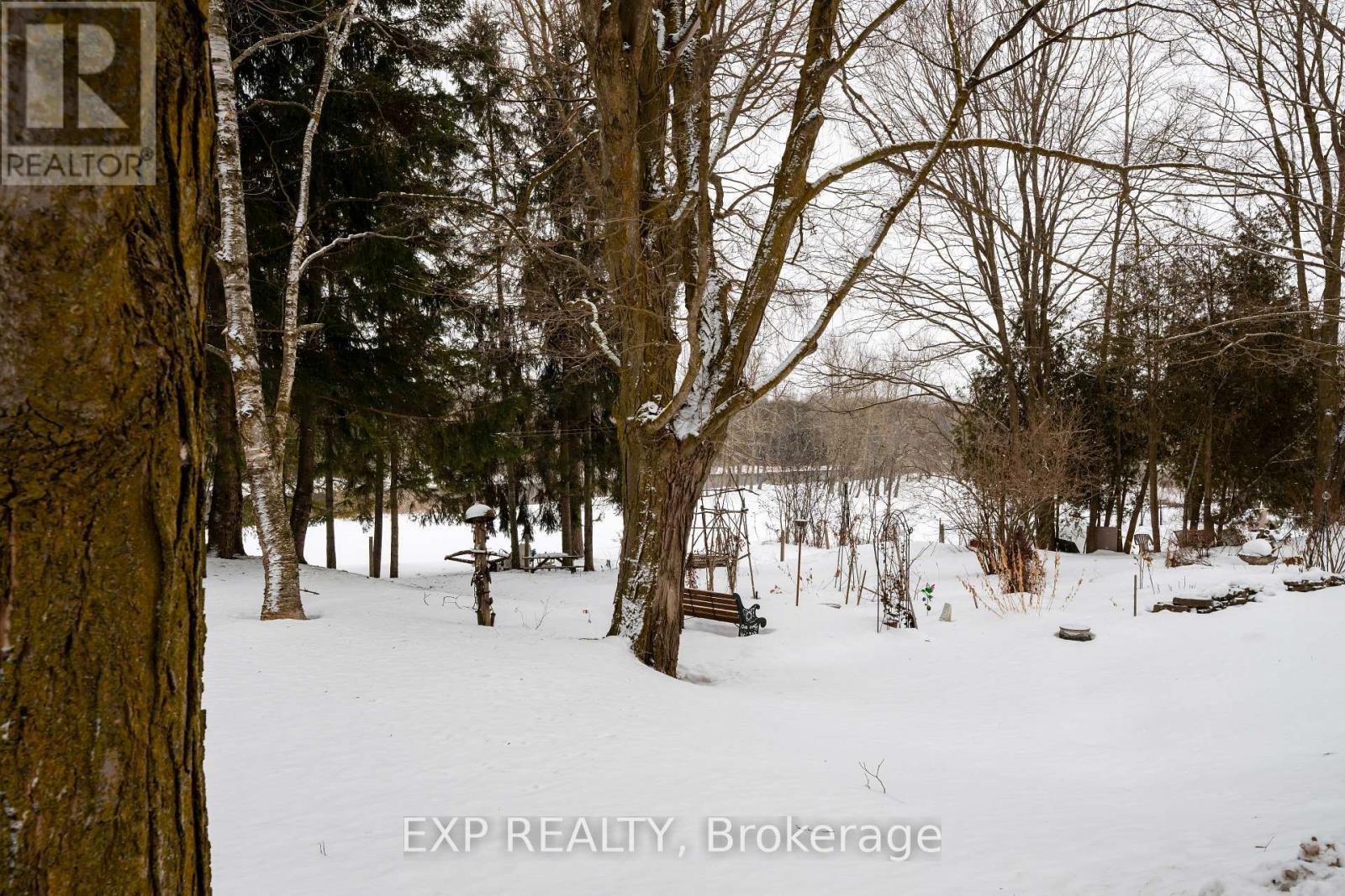 Gorgeous lot all year round - 16 Mill Street, Amaranth, ON - Outdoor With View