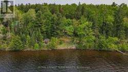 LOT 6 BURNT ISLAND ISLAND Madawaska Valley, ON K0J 1B0