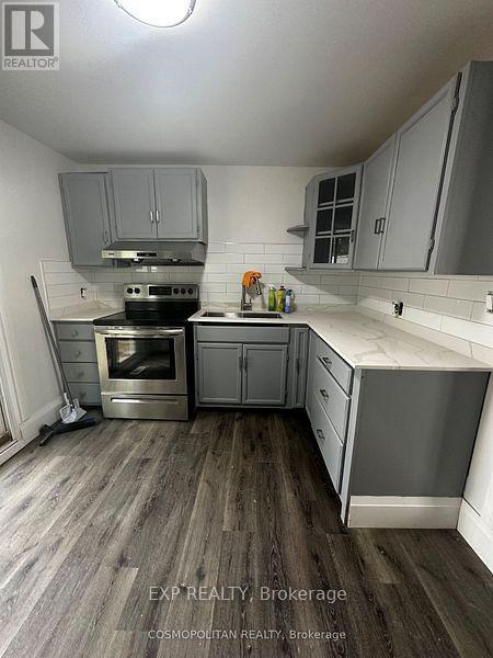 6564 Level Avenue, Niagara Falls, ON - Indoor Photo Showing Kitchen With Double Sink
