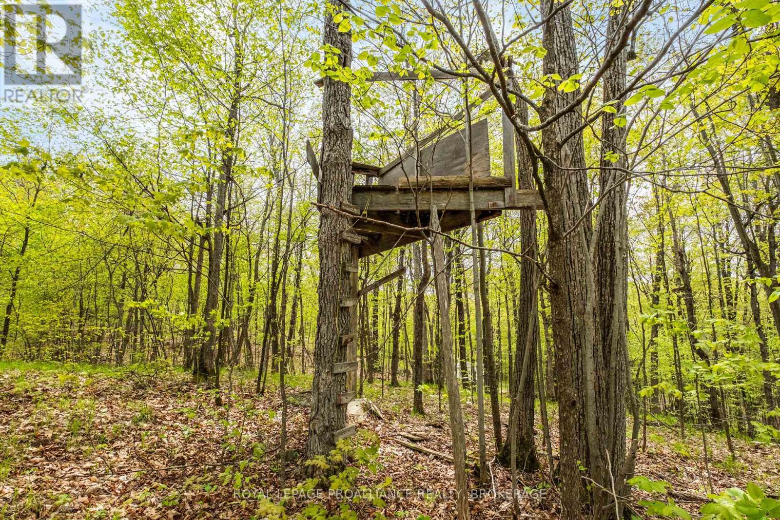 Lt 16 Warrington Lane, Frontenac (Frontenac Centre), ON