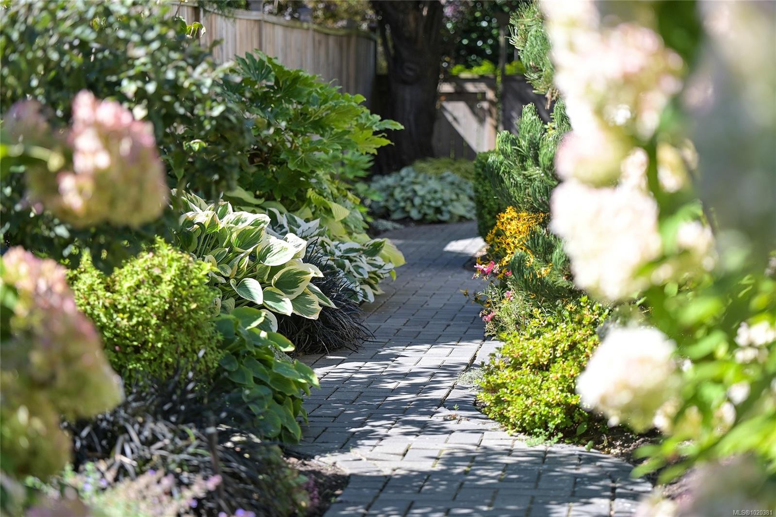 2443 Florence St, Oak Bay, BC