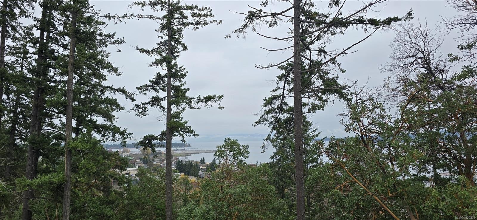 917 Harbour View St, Nanaimo, BC